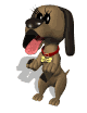 GIF animado (10773) Perro con la lengua fuera