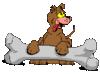 GIF animado (10960) Perro con un hueso gigante