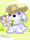 GIF animado (11040) Perro con una flor romantica