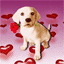 GIF animado (11041) Perro corazoncitos