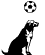 GIF animado (11061) Perro jugando con la pelota