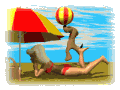 GIF animado (11065) Perros jugando en la playa