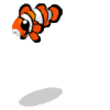 GIF animado (6451) Pez payaso