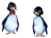 GIF animado (2472) Pinguinos enamorados