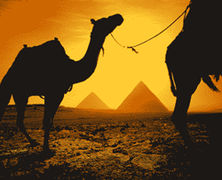 GIF animado (11751) Piramides camellos