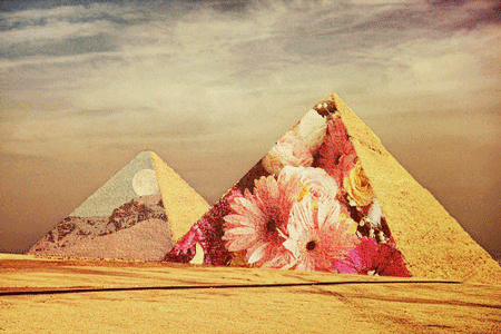 GIF animado (11761) Piramides flores