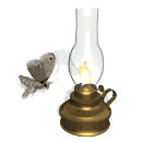 GIF animado (8440) Polilla en una lampara