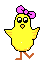 GIF animado (7373) Pollito