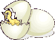 GIF animado (7393) Pollito dentro del huevo