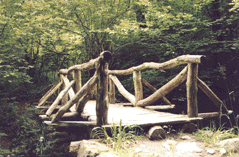 GIF animado (11778) Puente de troncos