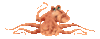 GIF animado (6091) Pulpo pestaneando