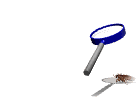 GIF animado (8566) Quemando pulgas