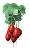 GIF animado (1748) Ramo de rabanos