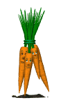 GIF animado (1784) Ramo de zanahorias
