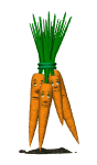 GIF animado (1785) Ramo de zanahorias