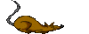 GIF animado (9900) Rata