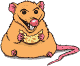 GIF animado (9905) Rata comiendo