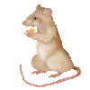 GIF animado (9944) Raton comiendo