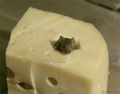 GIF animado (129) Raton queso