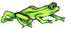 GIF animado (11147) Renacuajo rana