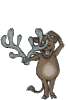GIF animado (9987) Reno sin cuernos