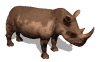 GIF animado (9996) Rinoceronte