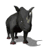 GIF animado (10002) Rinoceronte negro
