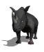 GIF animado (10003) Rinoceronte negro