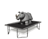GIF animado (10004) Rinoceronte saltando
