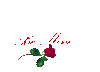 GIF animado (4454) Rosa amor