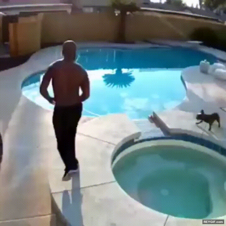 GIF animado (116294) Salvando a su perro de ser ahogado menos mal que ha terminado bien esta historia