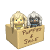 GIF animado (10638) Se venden cachorros