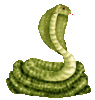 GIF animado (11306) Serpiente cobra