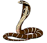 GIF animado (11313) Serpiente cobra marron