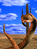 GIF animado (11359) Serpiente de cascabel