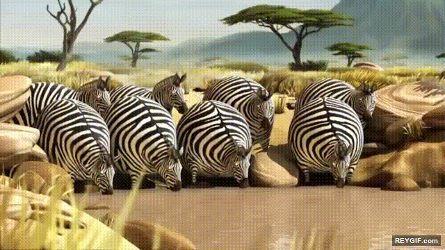 GIF animado (116720) Si los animales salvajes fuesen globos