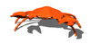 GIF animado (5986) Stone crab