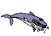 GIF animado (6506) Tiburon