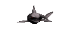 GIF animado (6509) Tiburon