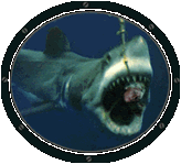 GIF animado (6512) Tiburon a traves de un ojo de buey