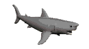 GIF animado (6527) Tiburon nadando