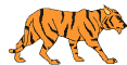 GIF animado (10022) Tigre