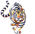 GIF animado (10024) Tigre
