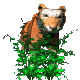 GIF animado (10028) Tigre