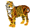 GIF animado (10031) Tigre
