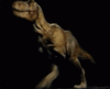 GIF animado (7620) Tiranosaurio rex andando