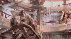 GIF animado (7644) Tiranosaurio rex velociraptor