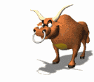 GIF animado (10089) Toro salvaje