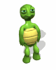 GIF animado (11371) Tortuga asustada