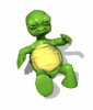 GIF animado (11374) Tortuga caida